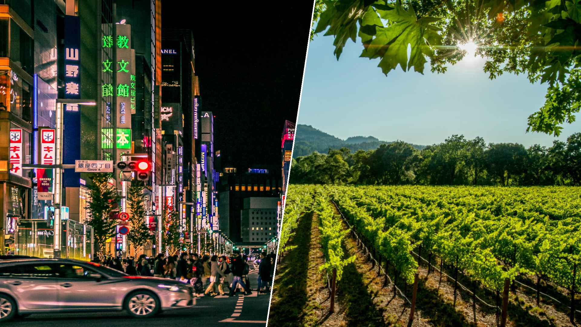 Tokyo to Napa