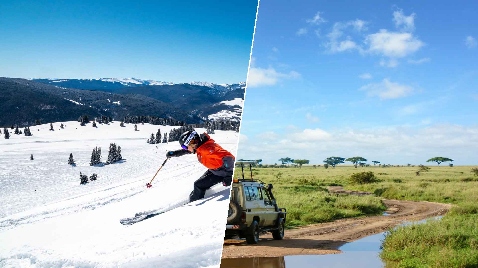 Vail to Serengeti