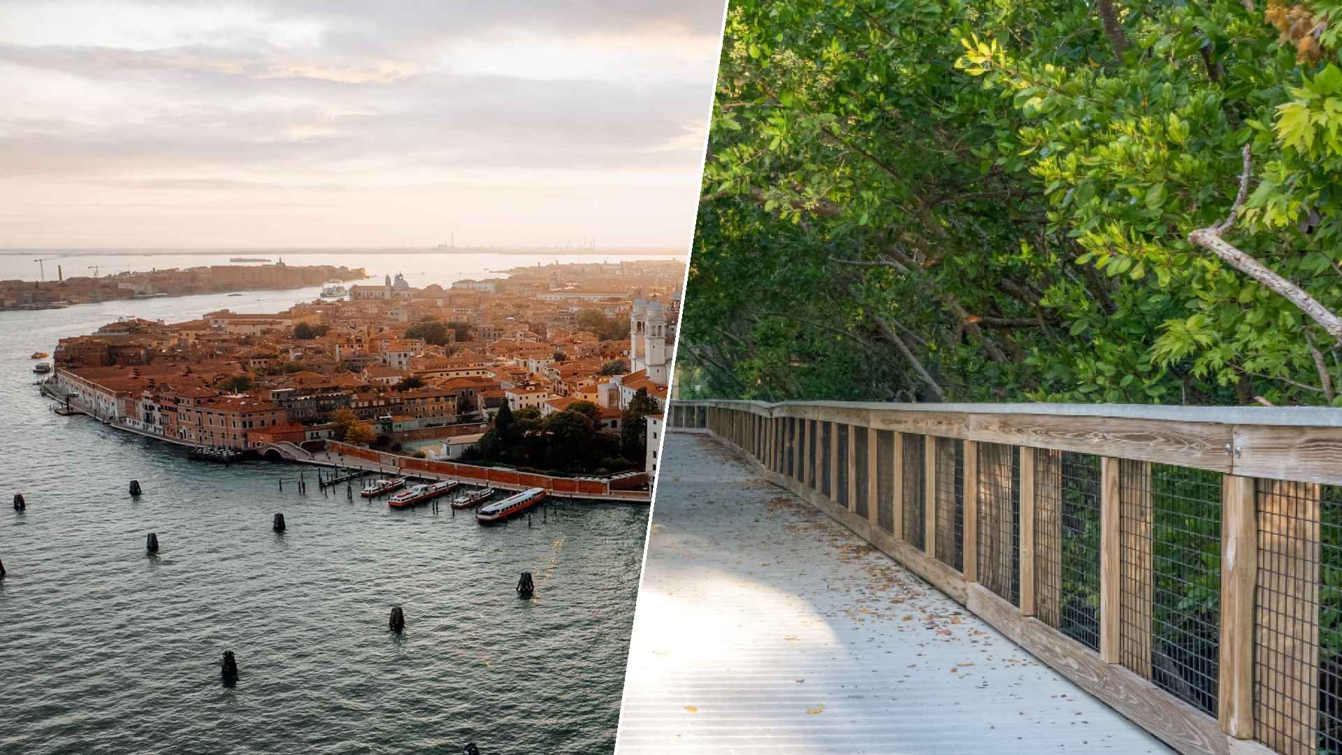 Venice to Port St. Lucie