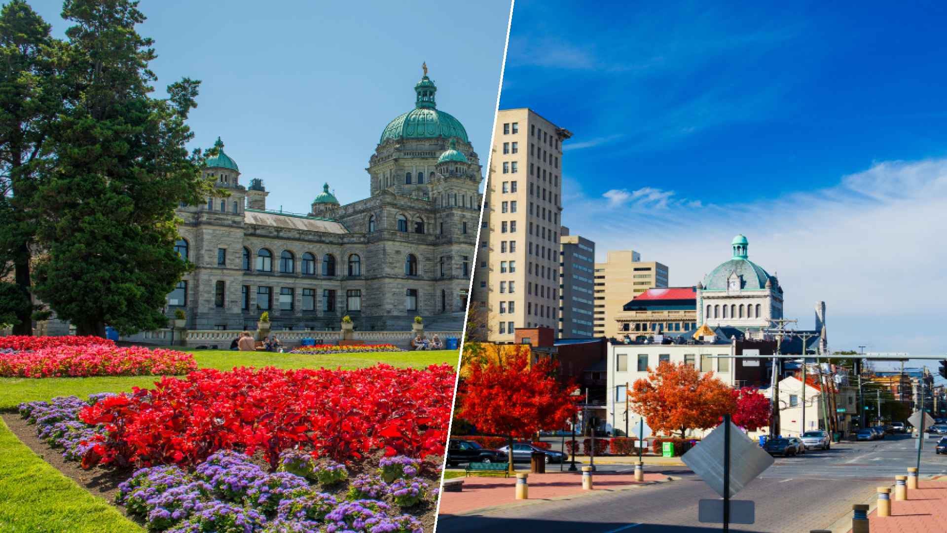 Victoria to Lexington