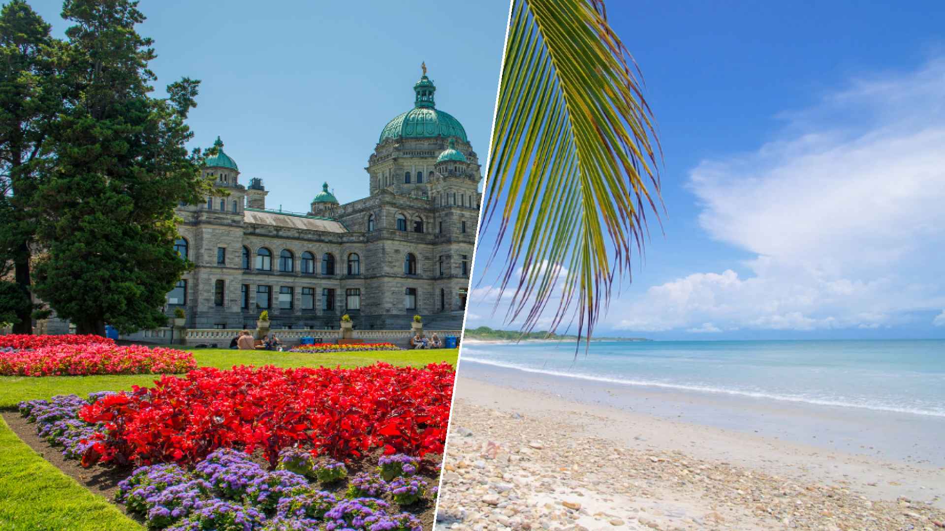 Victoria to Punta Mita