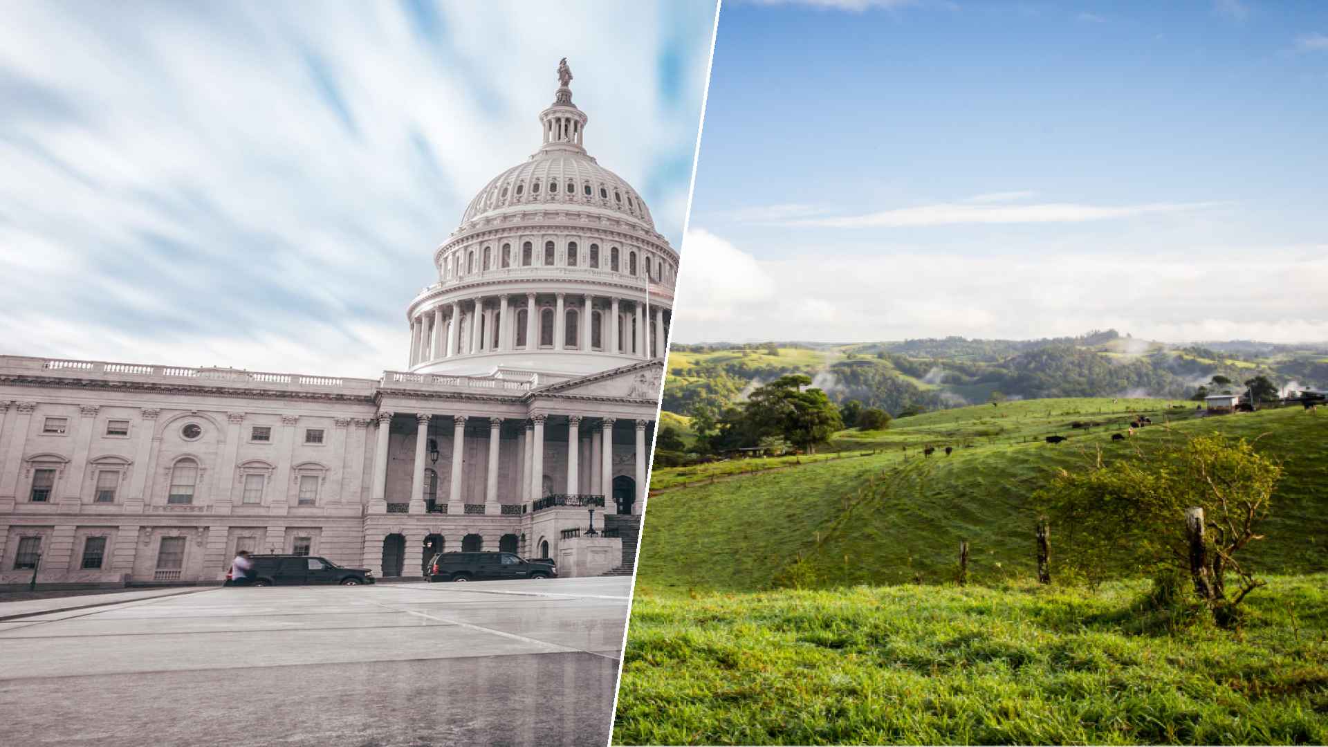 Washington D.C. to Atherton