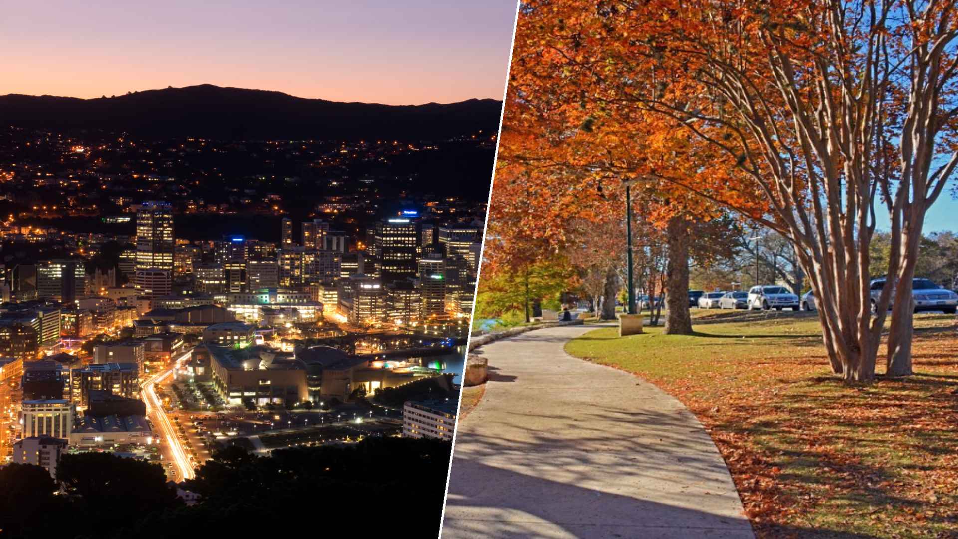 Wellington to Boerne