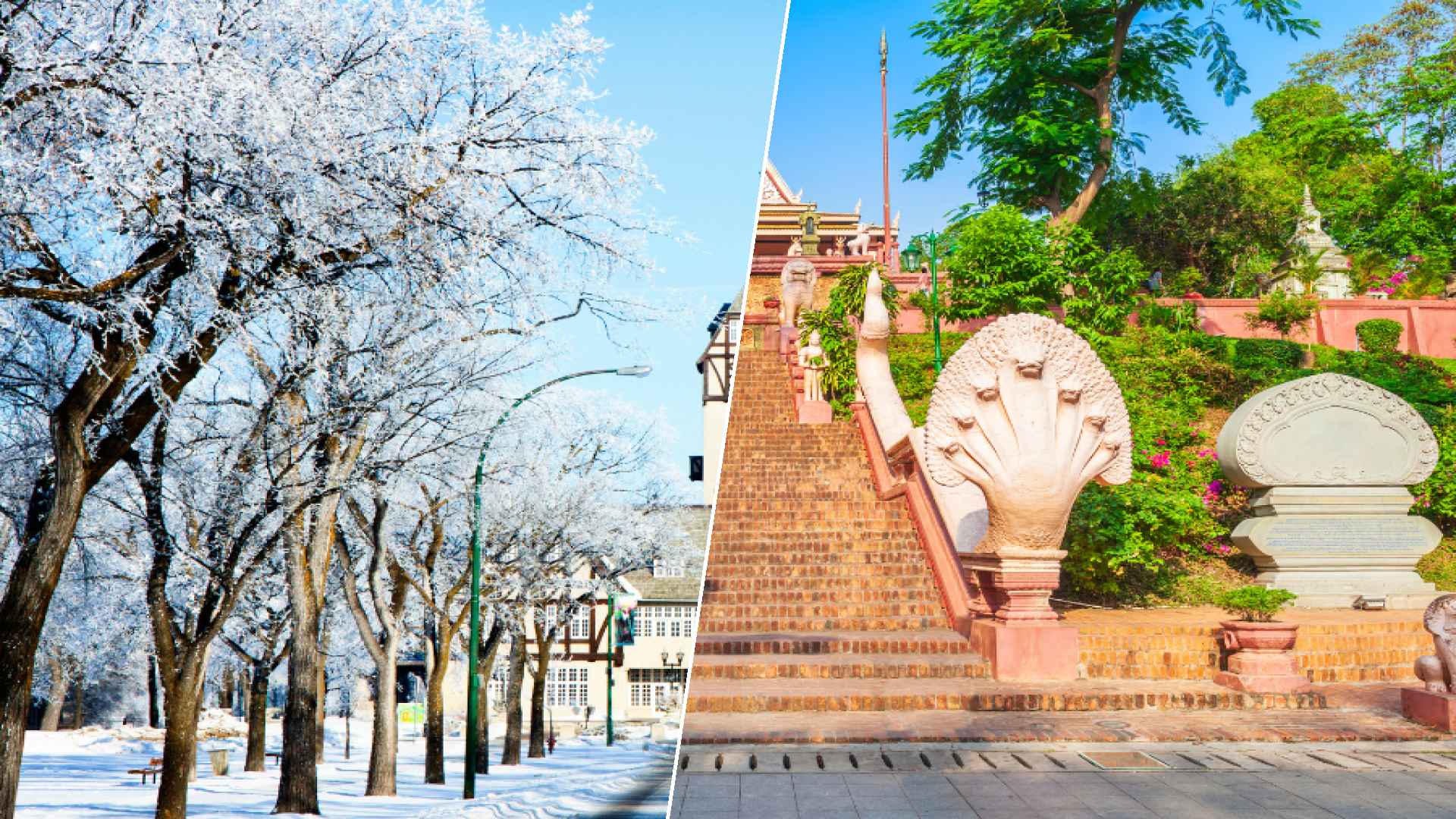 Winnipeg to Phnom Penh