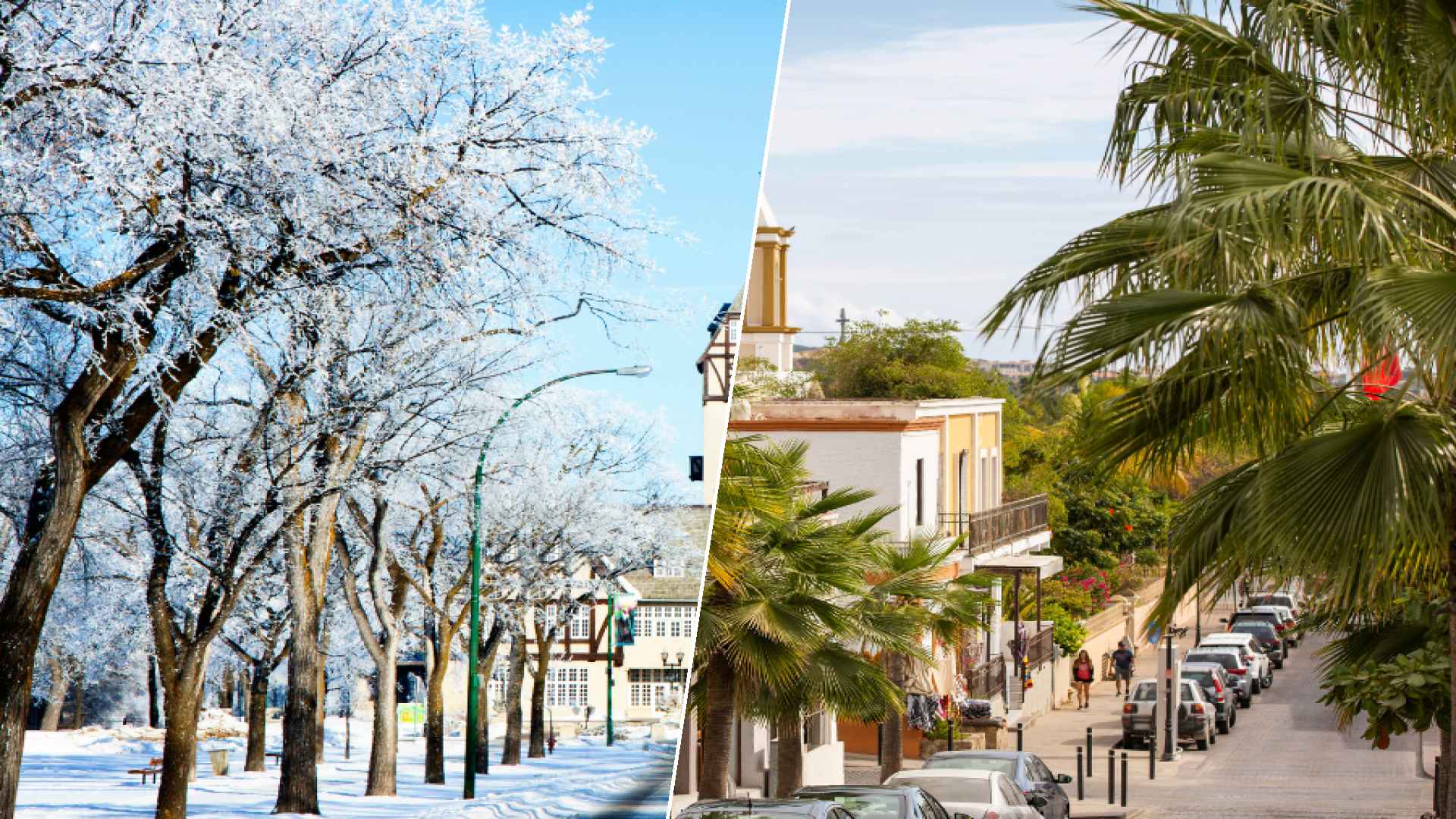 Winnipeg to San José del Cabo