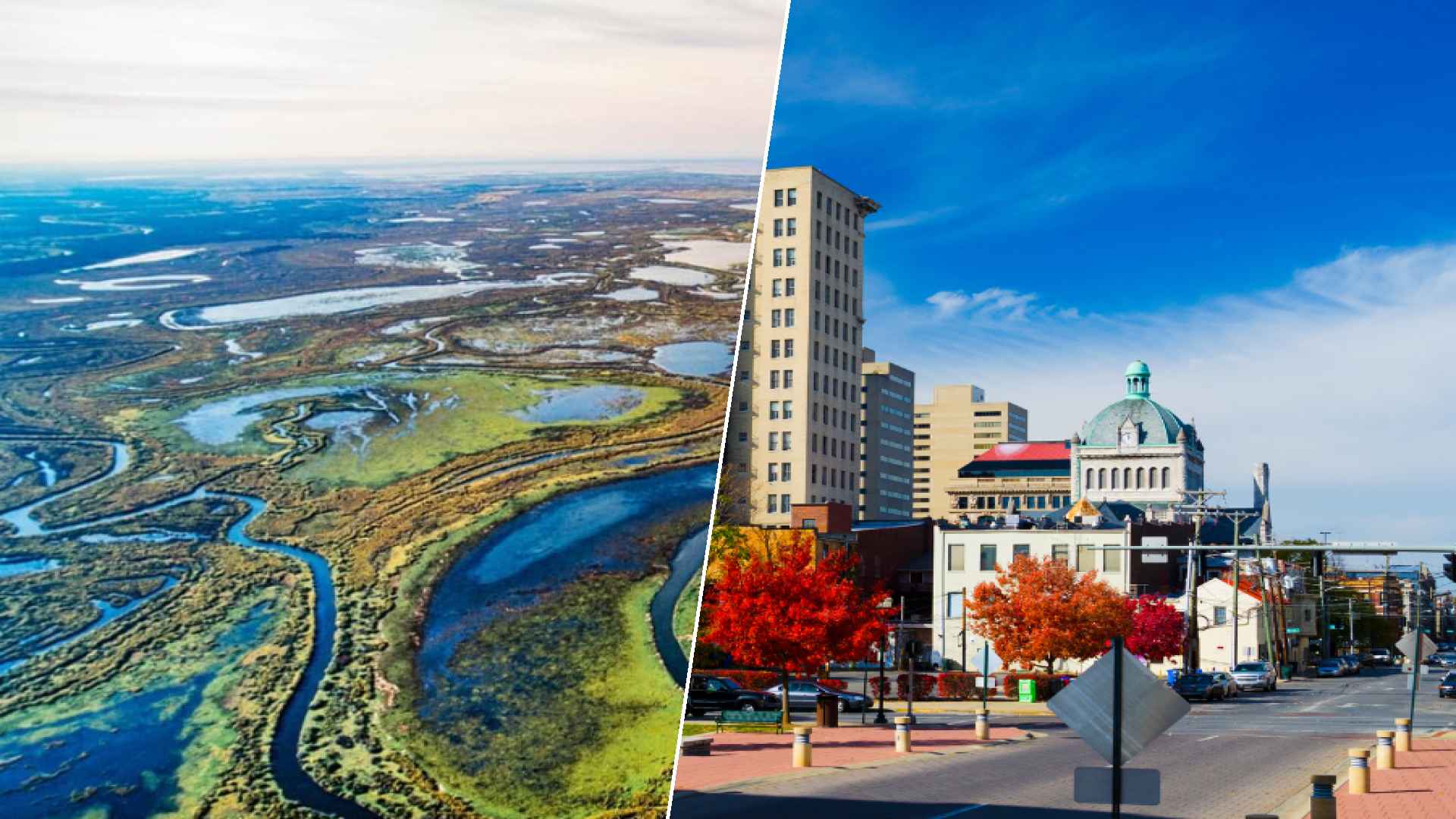 Wood Buffalo to Lexington