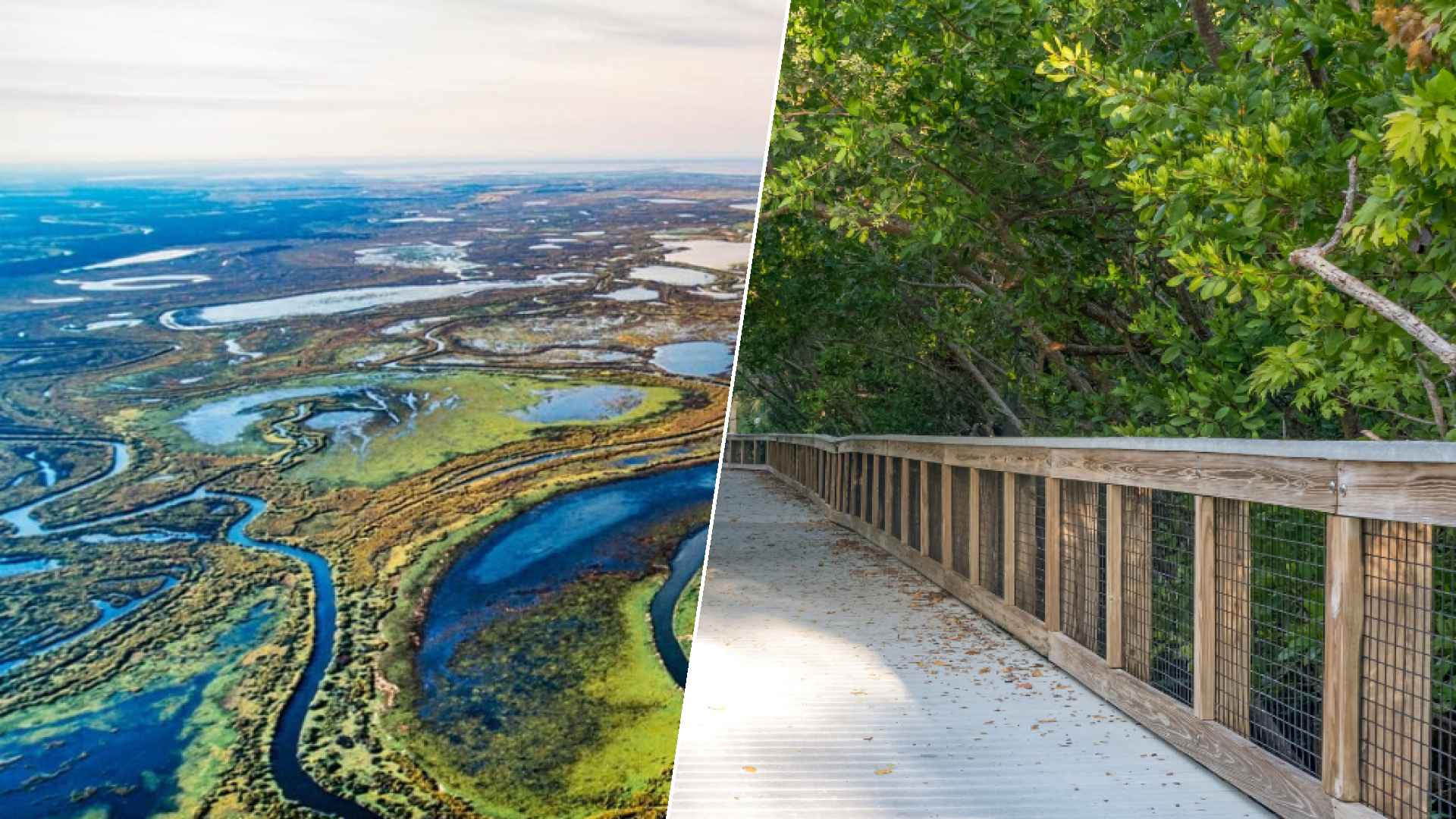 Wood Buffalo to Port St. Lucie