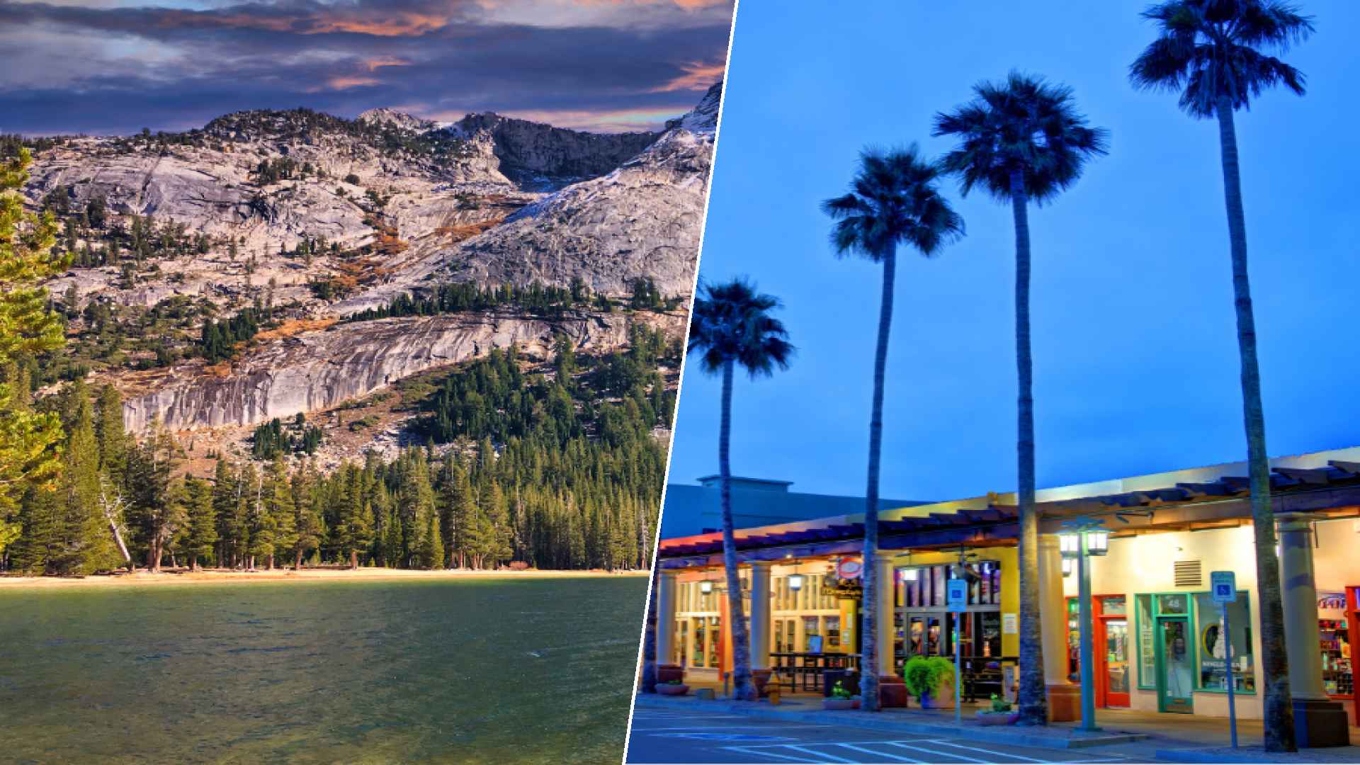 Yellowstone to Chandler