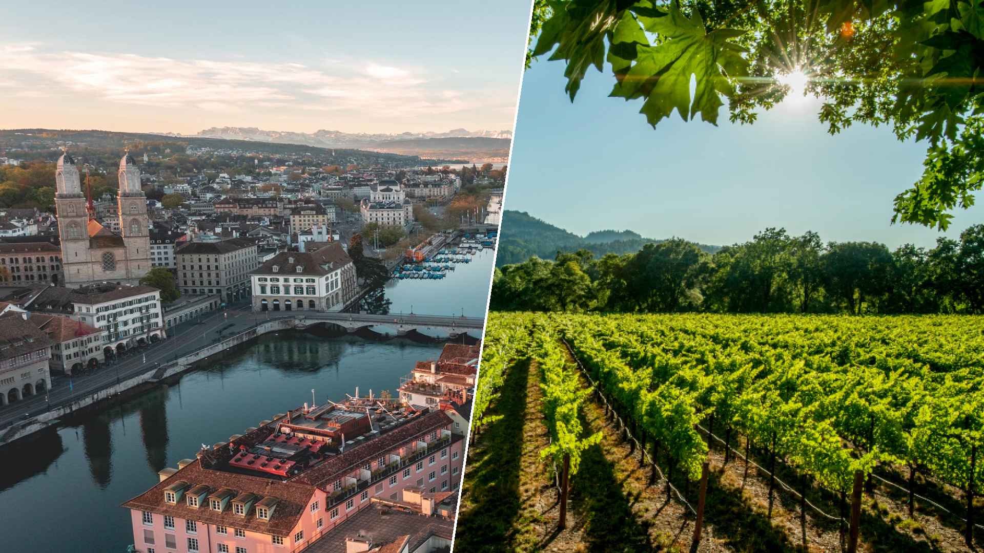 Zurich to Napa